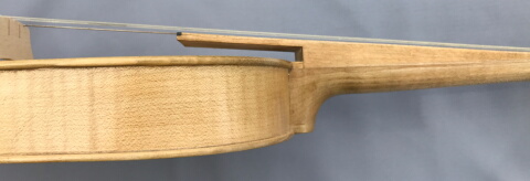 EMS Mediaeval Fiddle - E.A.D.G and 77cm Fixed Frog Bow