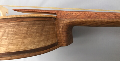 Tomasz Czypul - 4 String Medieval Fiddle including bow